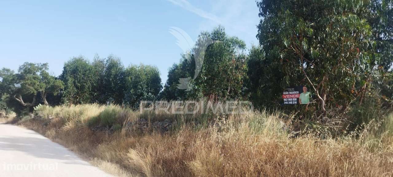 Terreno agricola /construção - Grande imagem: 1/5