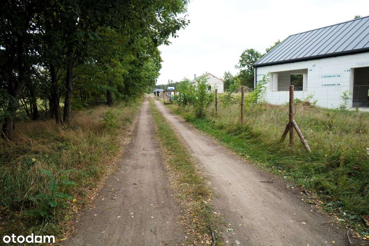 Działka z wejściem do Kampinowskiego parku Narodow - Pełny obrazek: 5/9