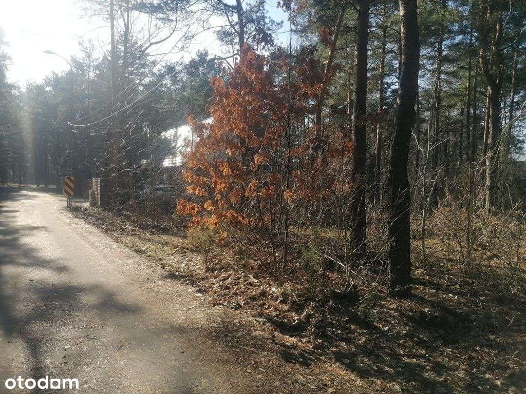 Piękna działka Warszawa/Wawer starodrzew-5