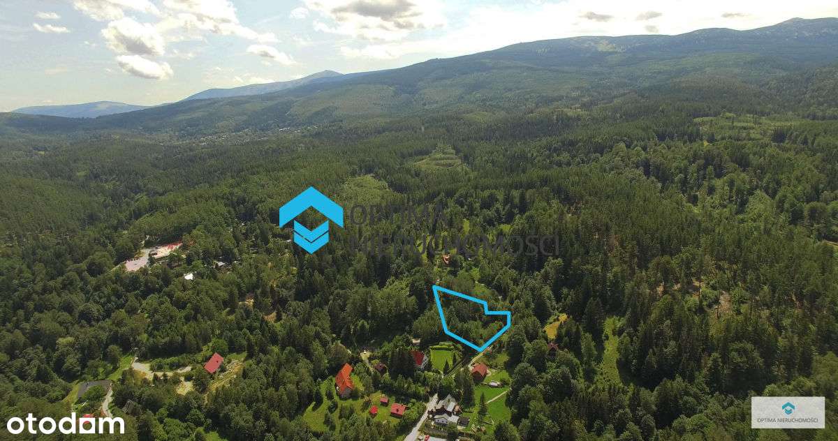 Działka w Przesiece 2500mkw - Pełny obrazek: 5/19