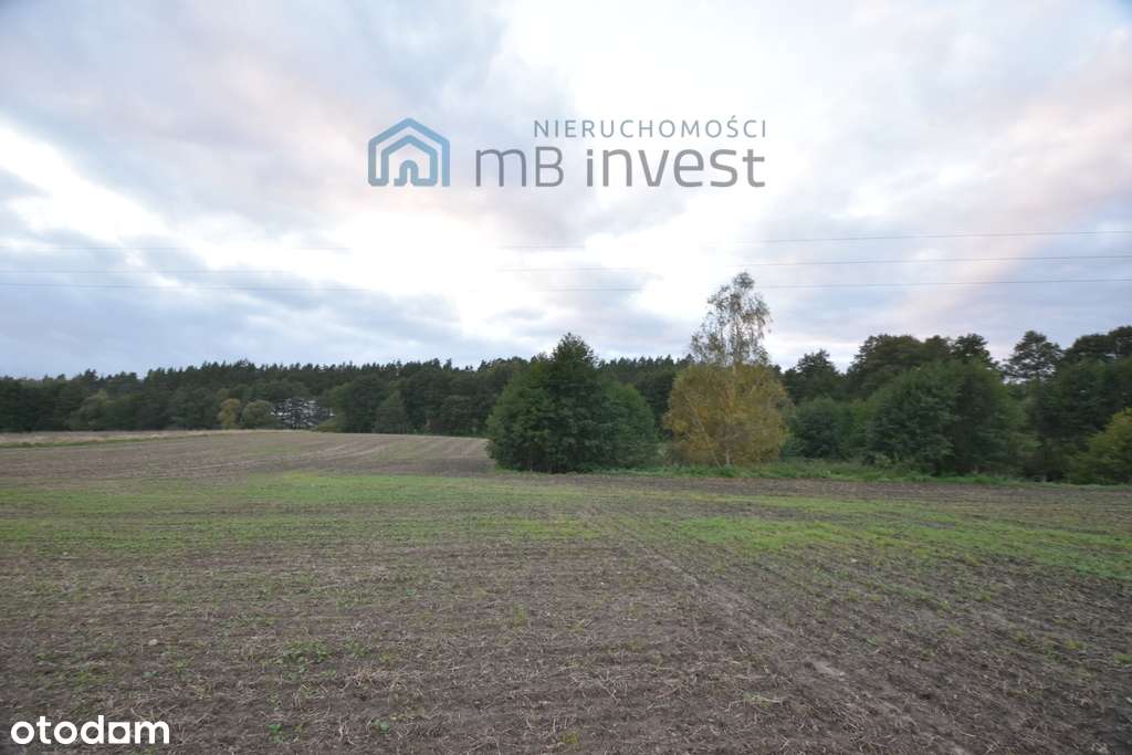 DZIAŁKA ZE STAWEM–OAZA CISZY I NATURY-ŻUŁAWKA-4