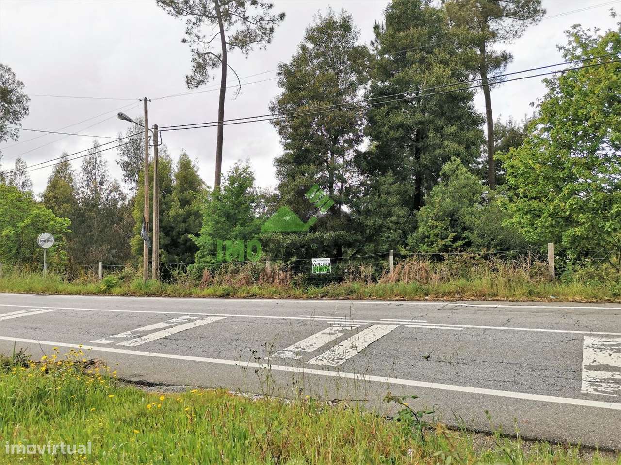 Terreno c/ 626 m2 entre Lobão - Caldas São Jorge - Grande imagem: 4/11