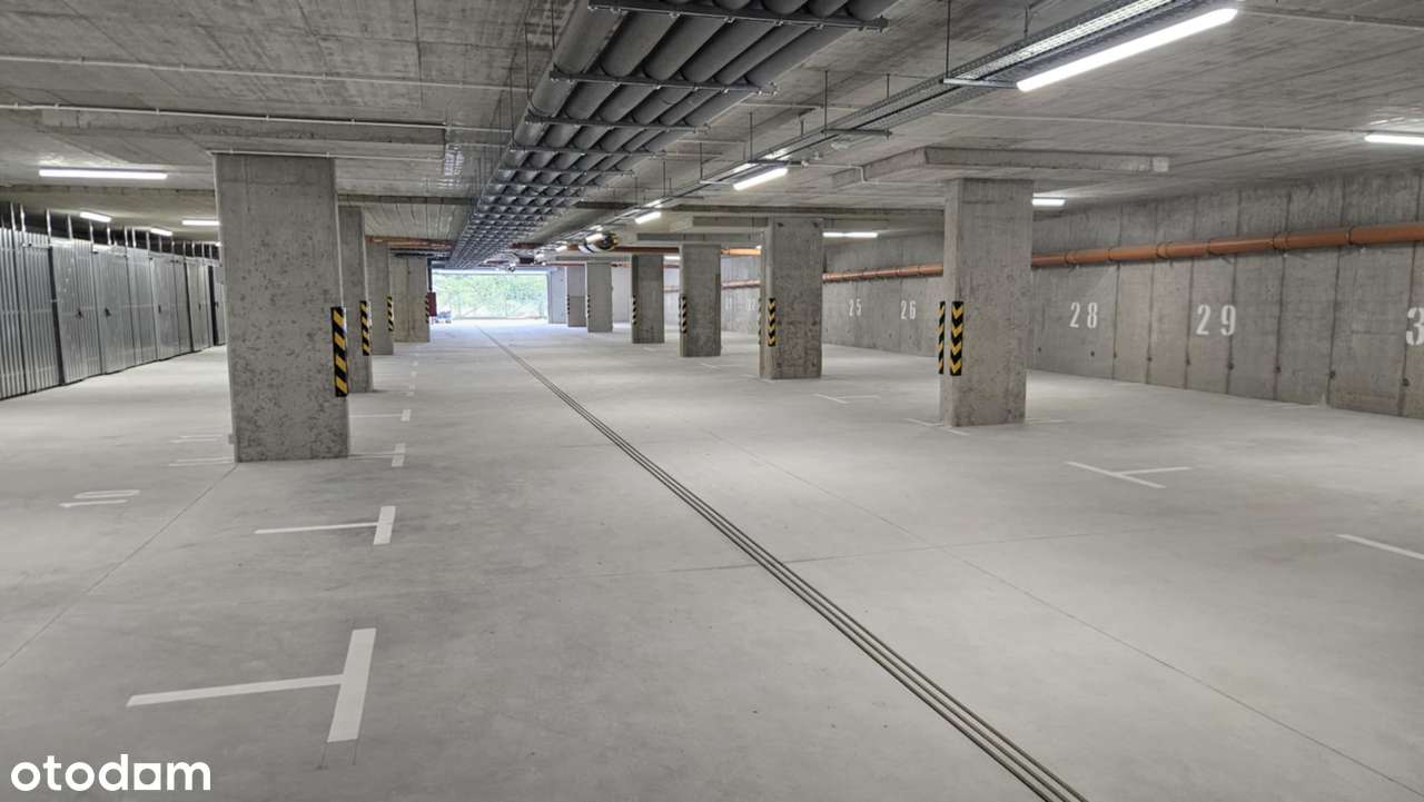 4 pok z widokiem na Kampinos. 10min autem od Błonia. SUPER OFERTA - Pełny obrazek: 5/15