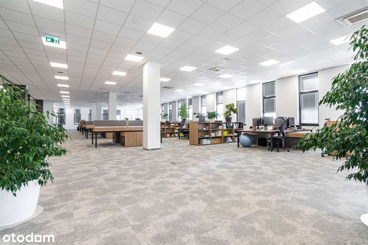 Powierzchnia biurowa - 700 m2 do aranżacji własnej - Pełny obrazek: 4/17