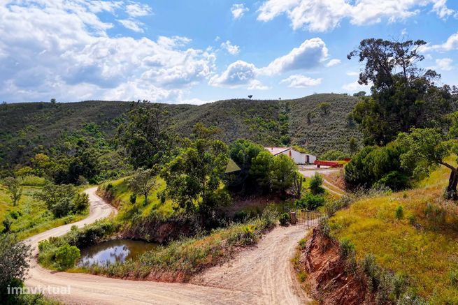 Charmosa Quinta com 4 Hectares à venda na idílica Salto - São Bartolom-28