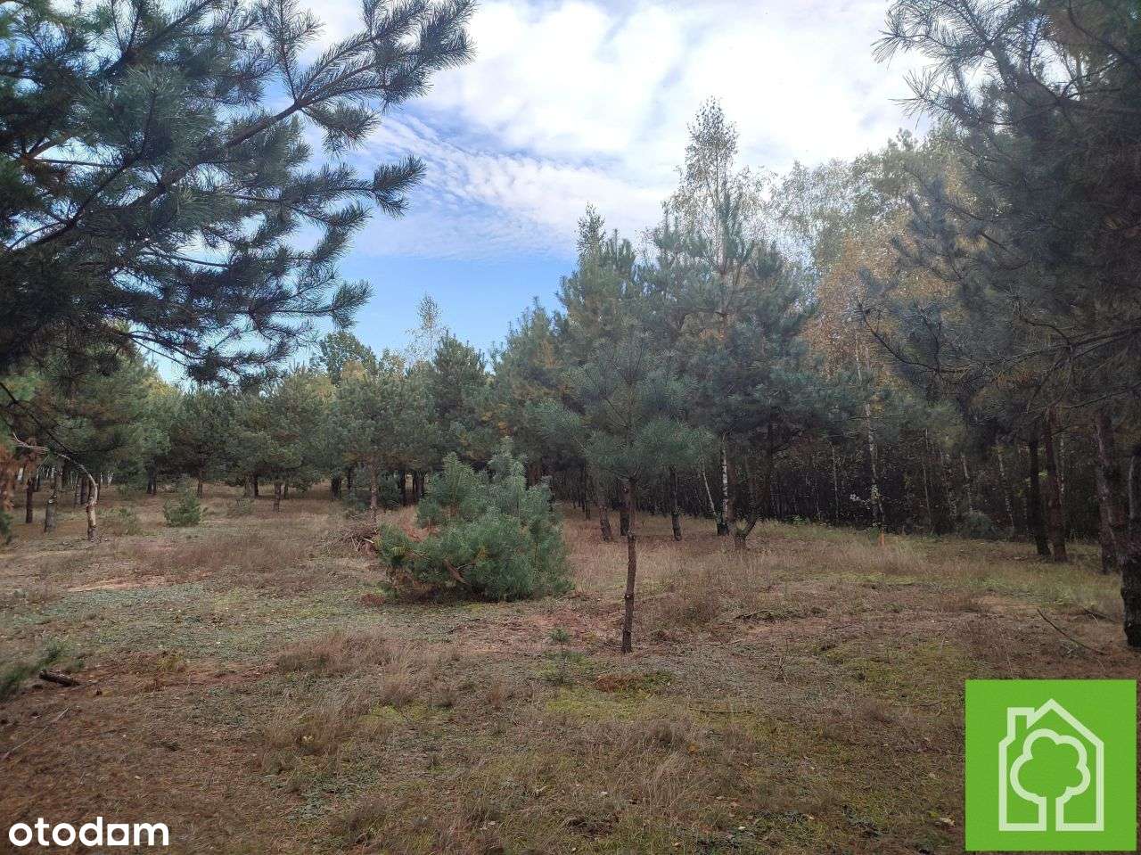 Działka, 1 008 m², Skudzawy-13