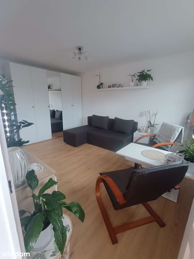 Piękny szereg z ogrodem, Sępolno, 5 pokoi-9