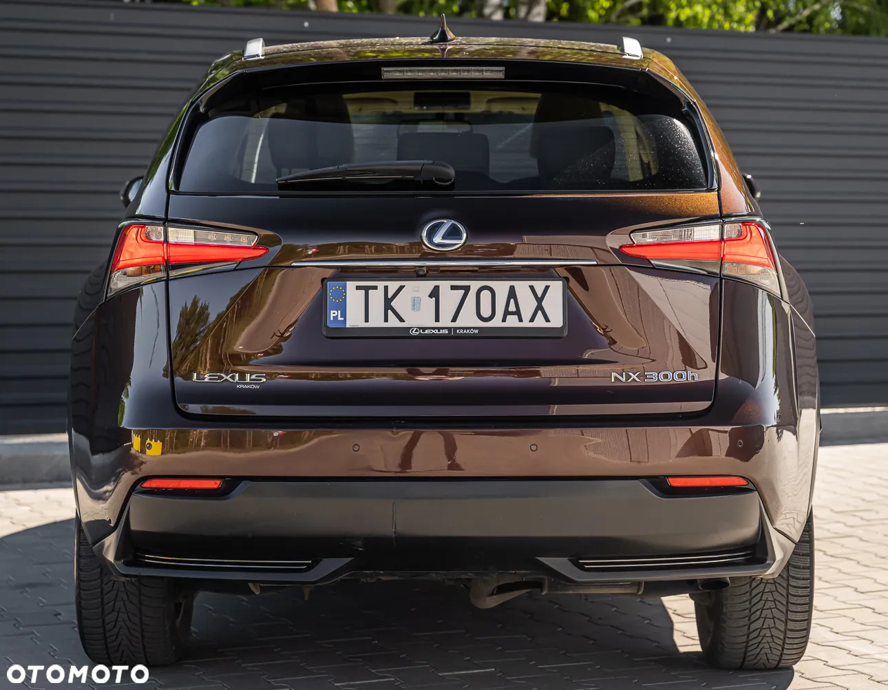 Lexus NX - 11