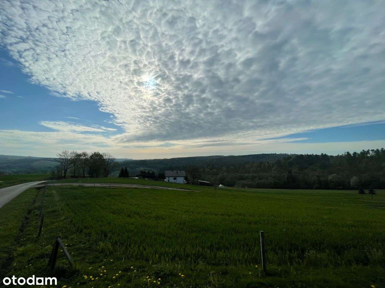 Gumniska 2 działki budowlane/plus teren/2.37h łącznie - Pełny obrazek: 5/7