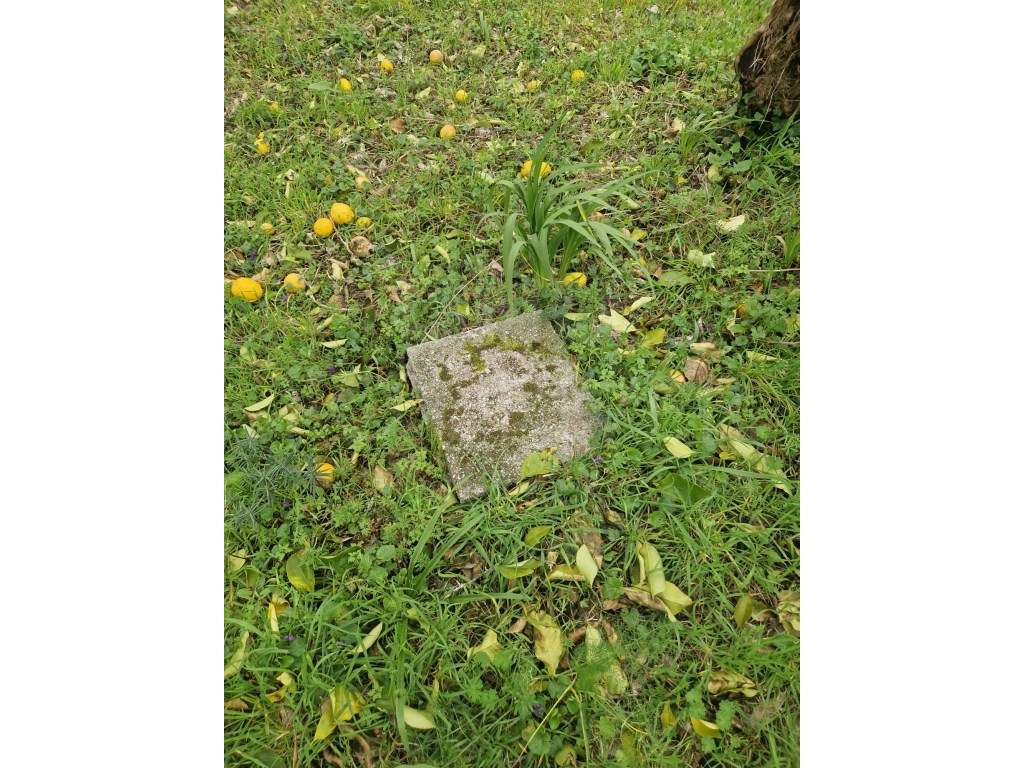 Moradia em Cossourado, Paredes de Coura - Grande imagem: 4/16