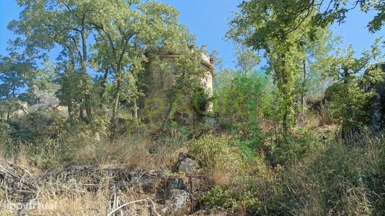 Terreno rústico "Fontelos" em Penela da Beira - Grande imagem: 3/19