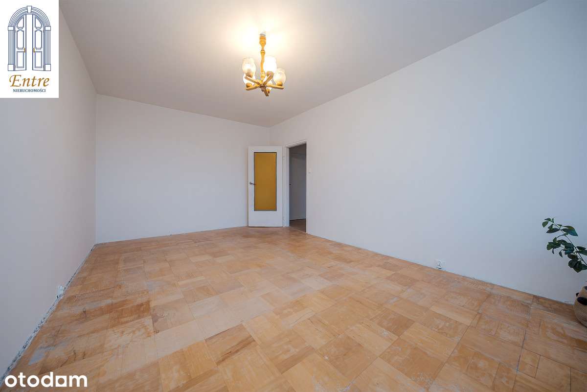 Dwupokojowe na Zaspie-2