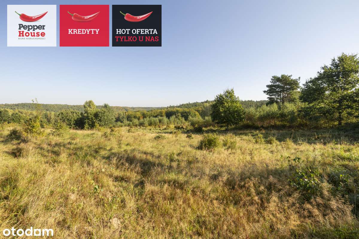 Przepiękna działka nieopodal dwóch jezior - Pełny obrazek: 5/19