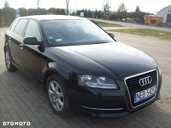 Audi A3 1.6 TDI DPF Ambition - 1