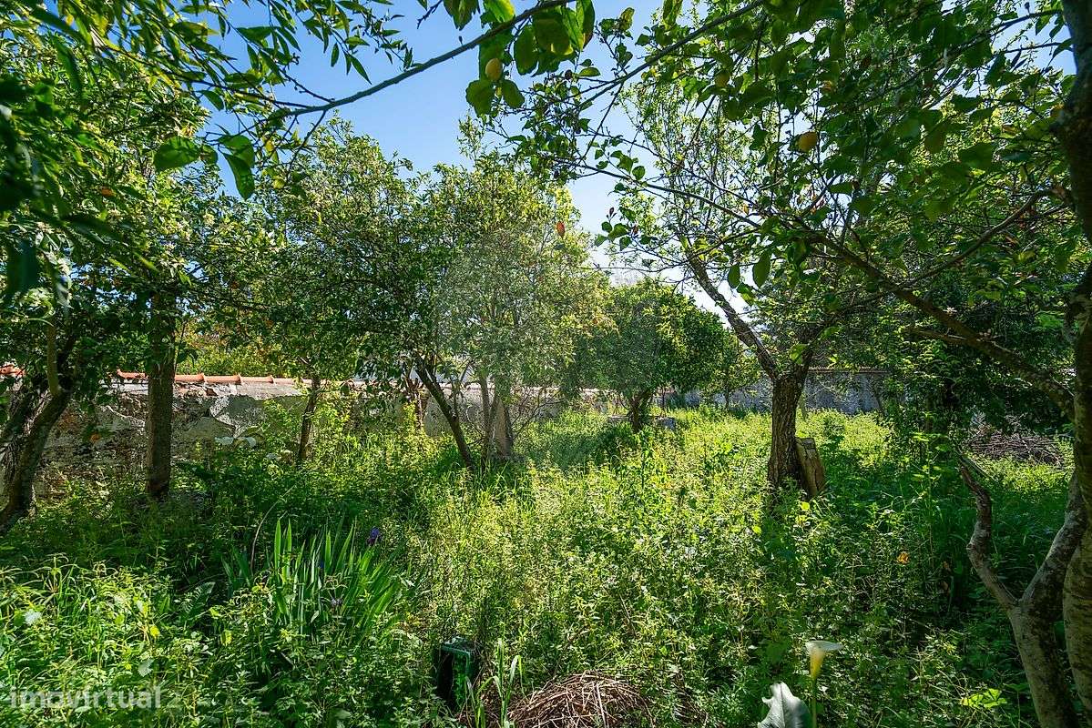 Moradia T3 para venda-12