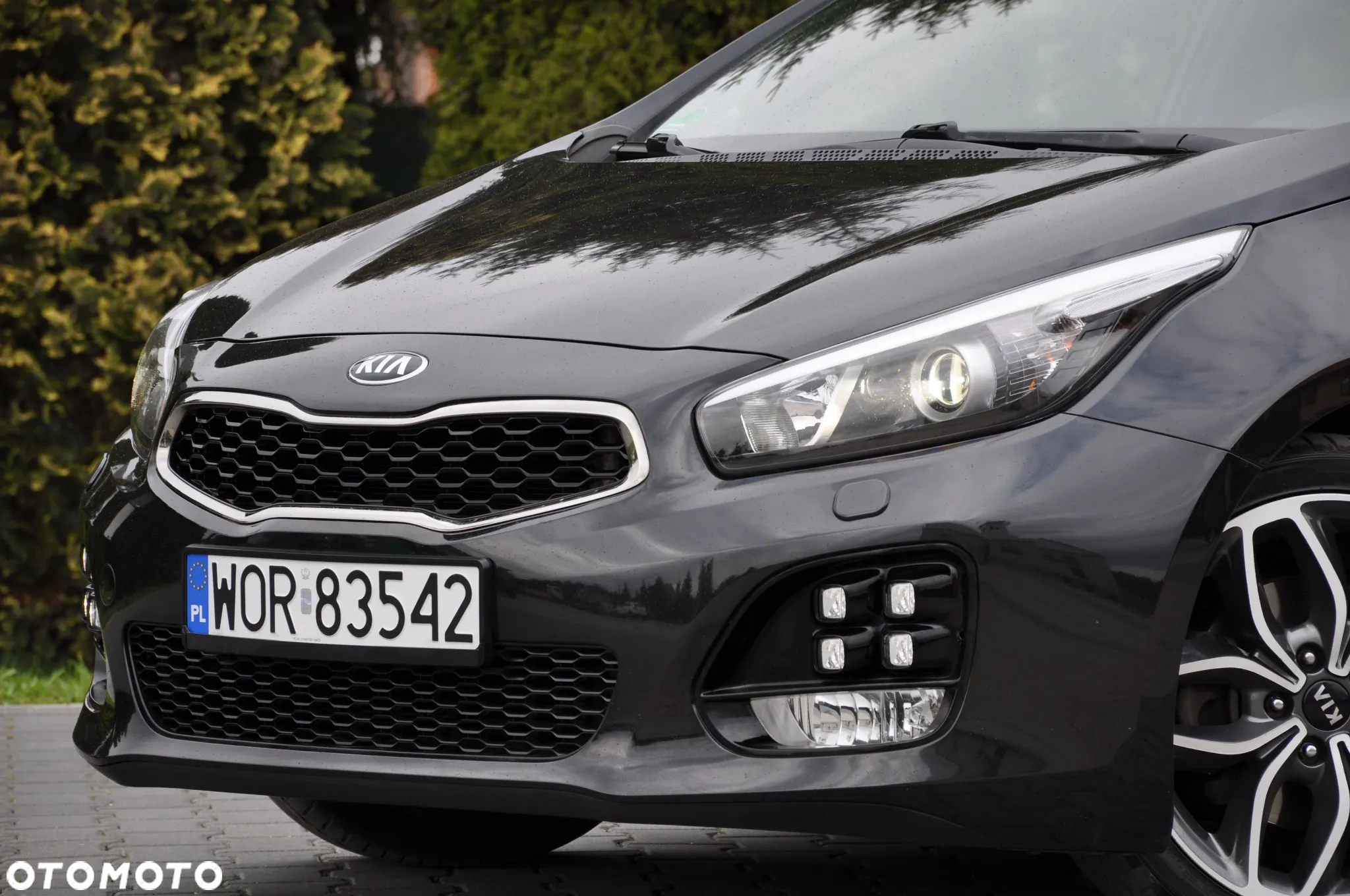 Kia Ceed 1.6 CRDi 136 DCT ISG SW GT Line - 8