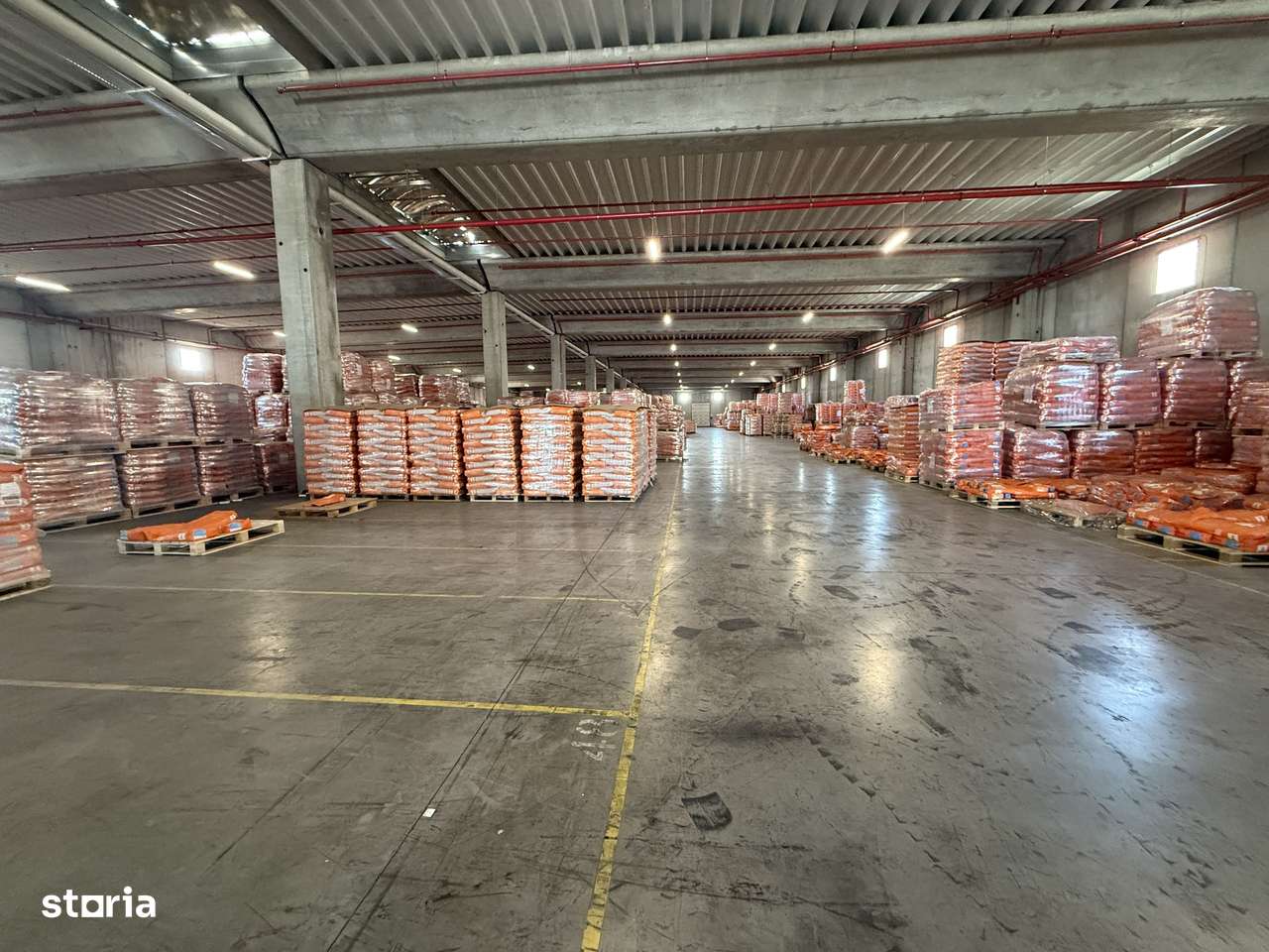 Hală industrială clasa A 5000 mp, Chitila-Dragomirești, teren 8.000 mp-6