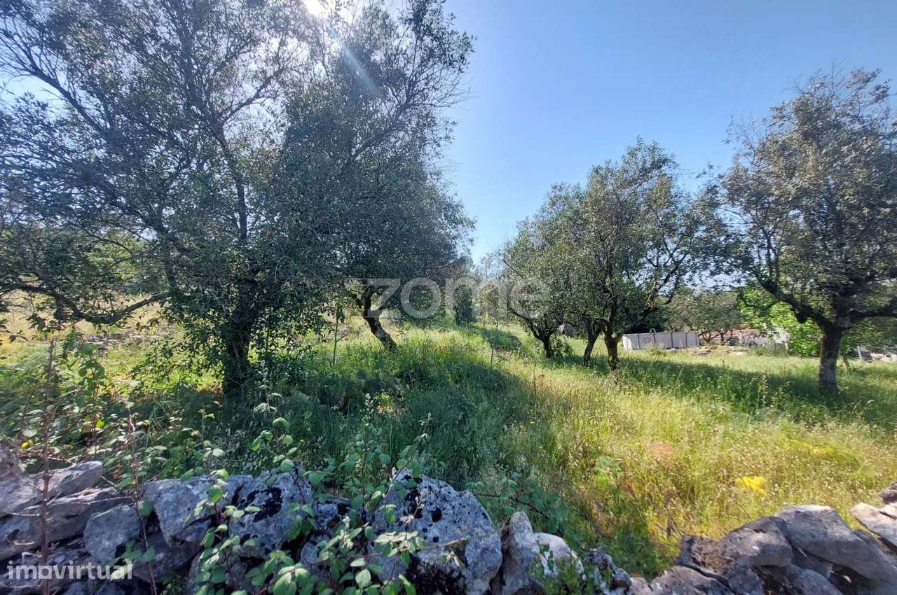 Terreno com 2500m2 a 10m de Fátima e 15 m da Batalha-3