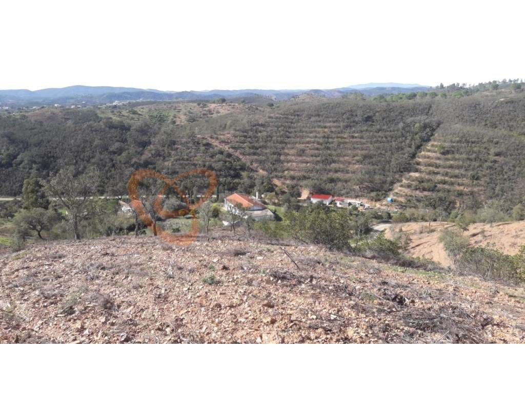 Fantástica Moradia situada no Barrocal Algarvio - Grande imagem: 4/44