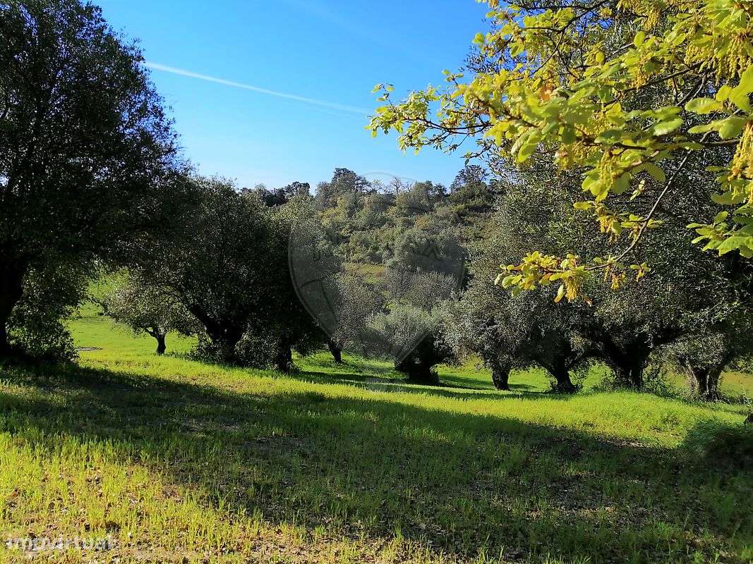 Terreno  para venda - Grande imagem: 3/16