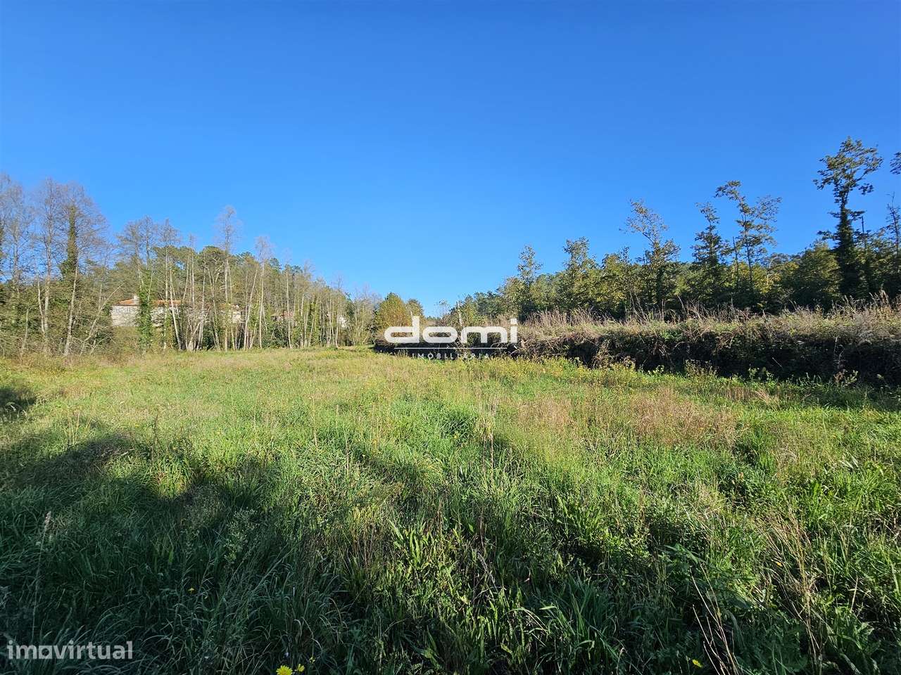 Terreno rústico de 26.258,50 m², com pequena ruína para recuperar - Grande imagem: 5/10