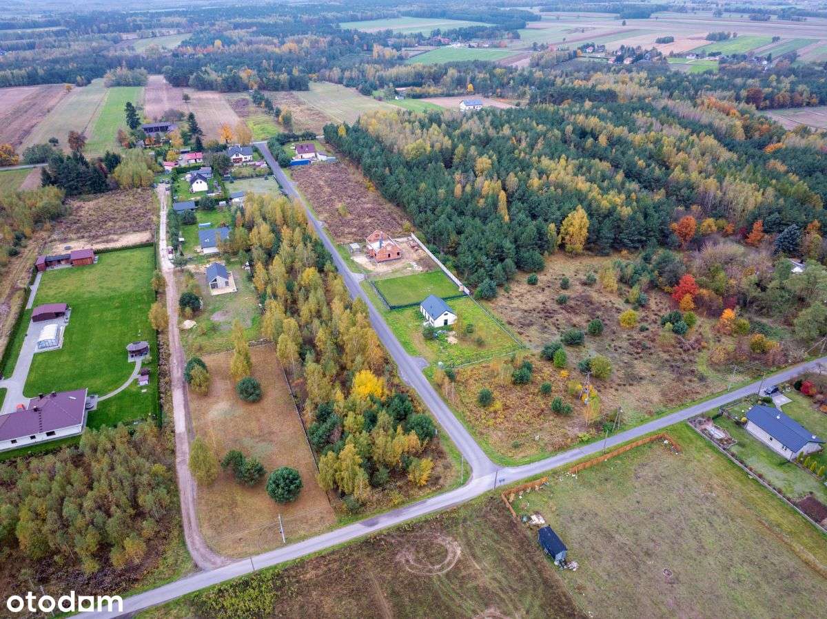 Działka, na której stanie Twój wymarzony dom - Pełny obrazek: 4/6