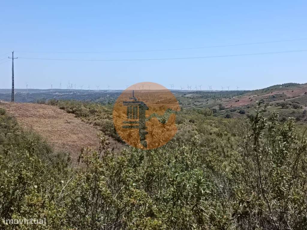 TERRENO COM 34.700 M2 - POSSIBILIDADES DE CONSTRUIR UM ARMAZEM - PR...-14