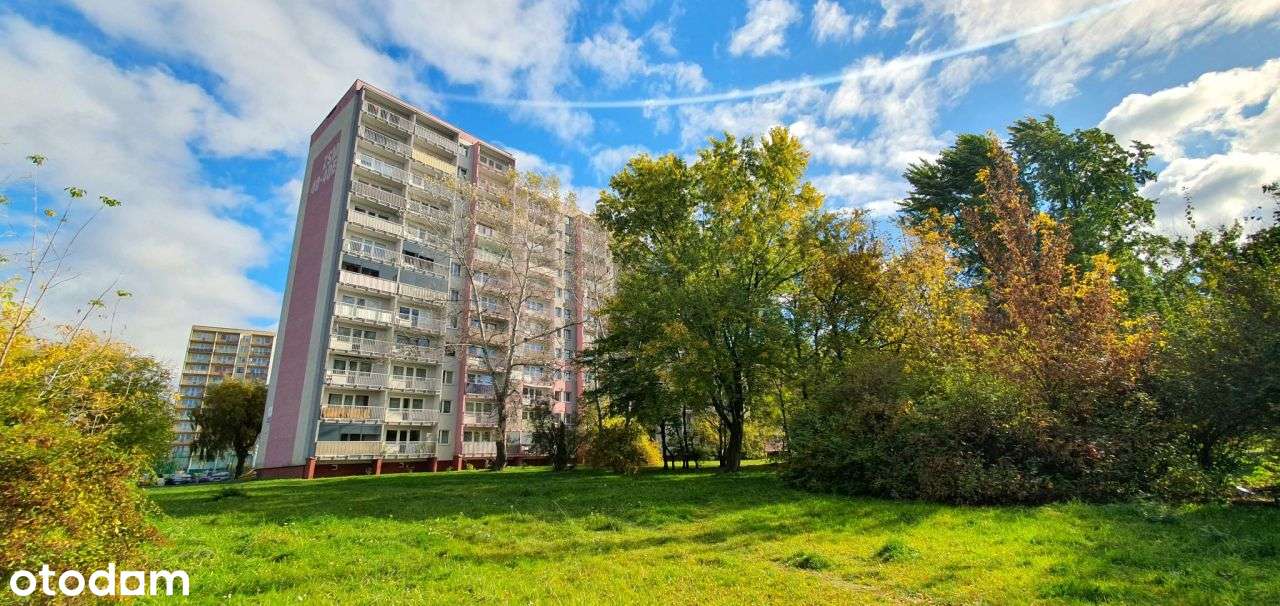 Mieszkanie, 63 m², Zabrze-16