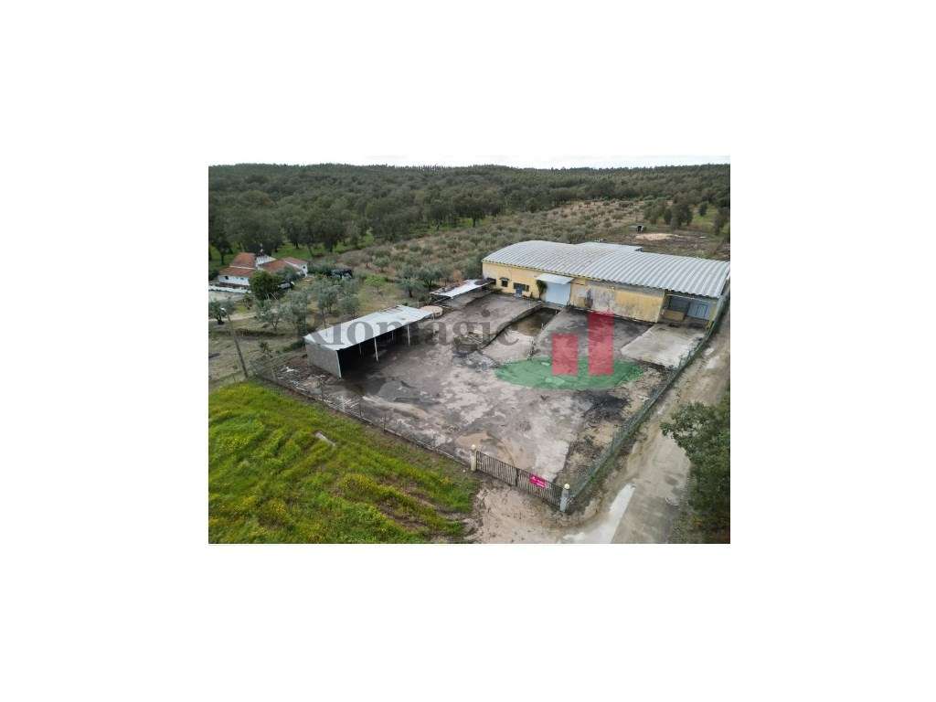 Pavilhão Industrial Chamusca***RIOMAGIC*** - Grande imagem: 4/38