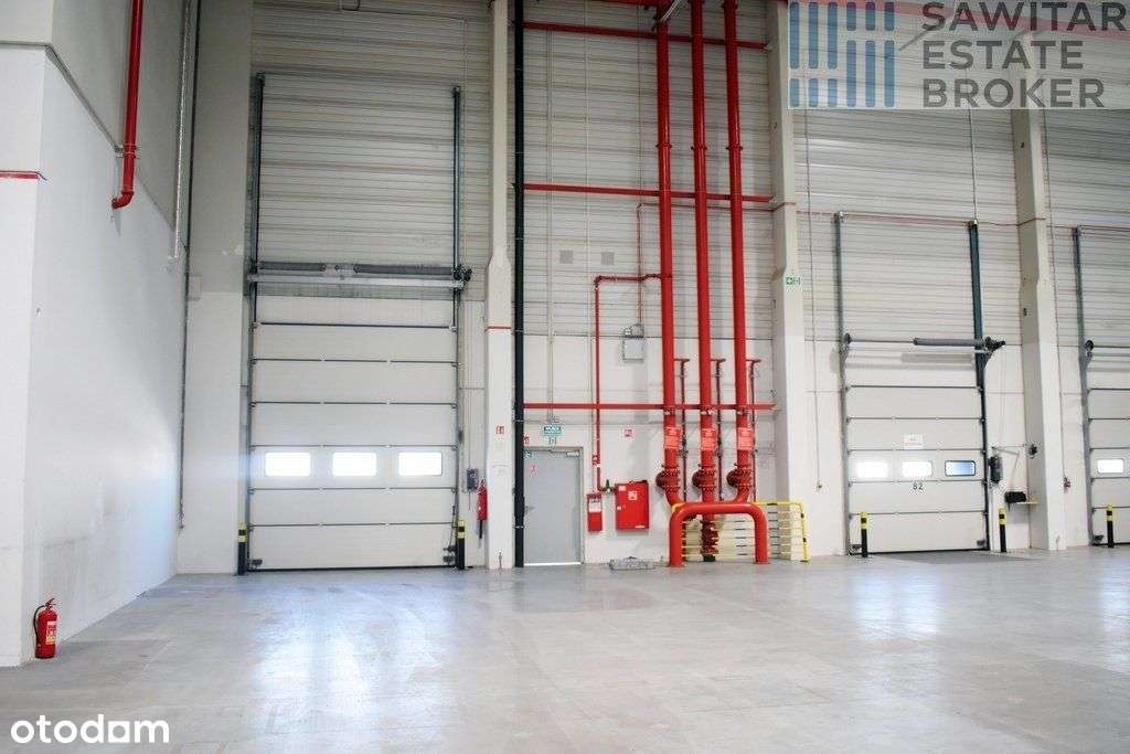 Klasa A- magazyn/produkcja. od zaraz-bez prowizji. - Pełny obrazek: 4/5