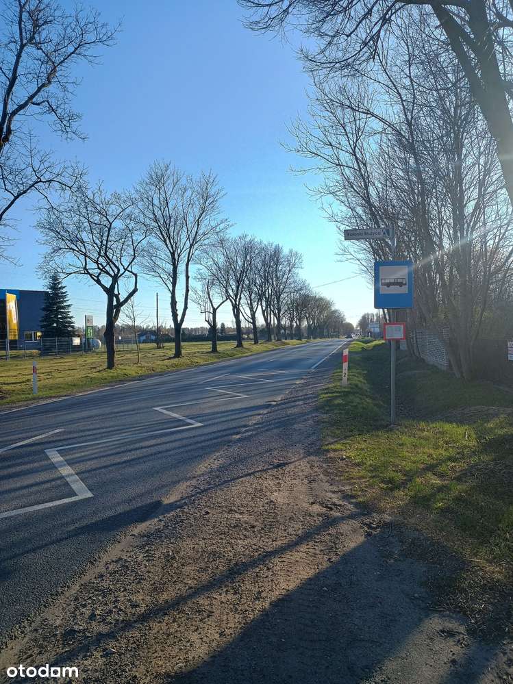 Siedlisko z budynkiem mieszkalnym-11