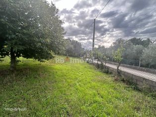 2 Terrenos Rústicos com PDM - Carril, Ferreira do Zêzere - Grande imagem: 3/15