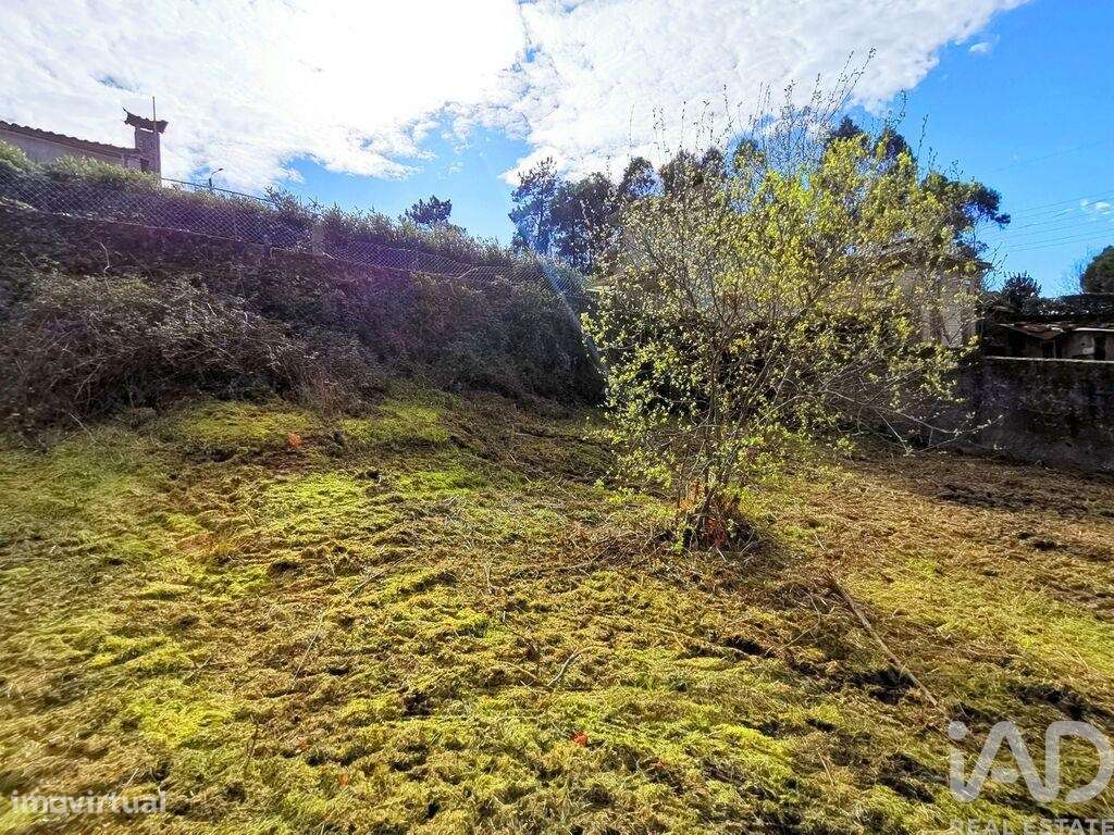 Terreno em Perre - Grande imagem: 3/9