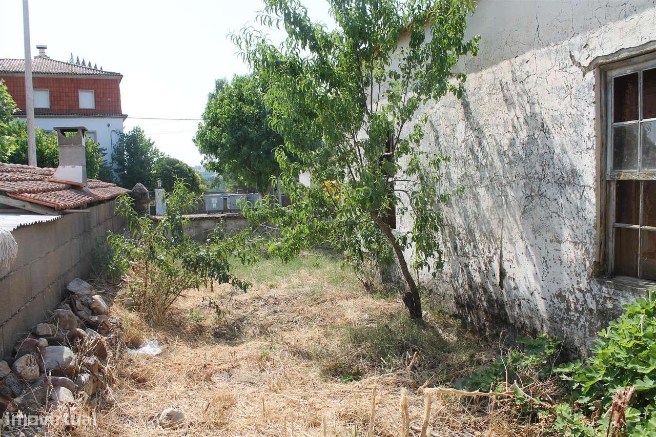 Moradia - Grande imagem: 5/15