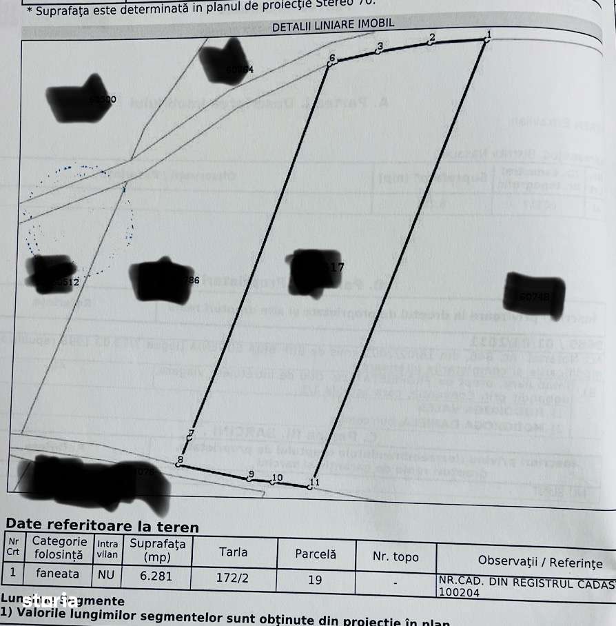 Teren la Soare zona Sigmirului ! - Imagine principală: 3/13