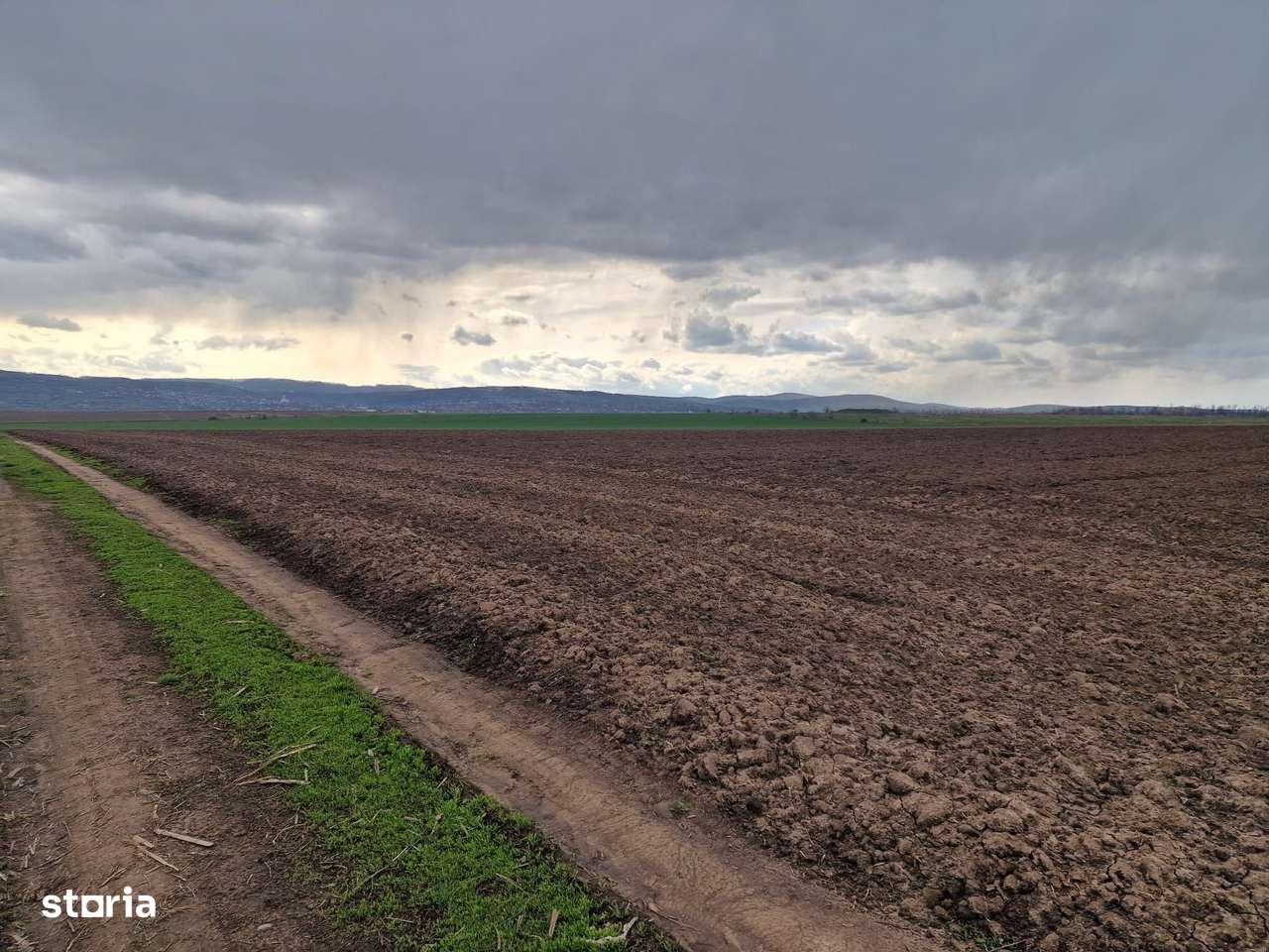 Teren 10,000mp Bacau / Strada Alexandru Safran-14