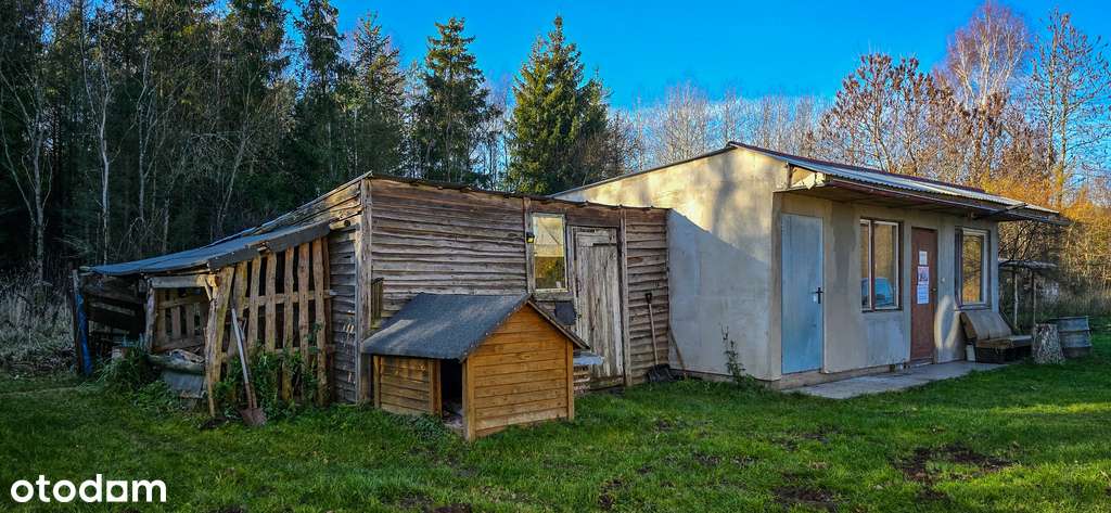 Dom w otoczeniu przyrody, Borki- działka 8497 m2-18