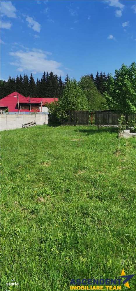 Teren cu proiect casa, in vecinatatea padurii Bradet, Sacele, Brasov - Imagine principală: 5/8