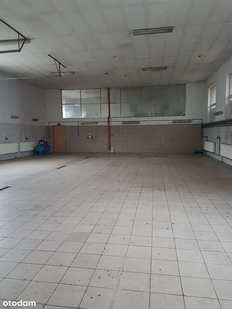Hala na wynajem 210 m² z monitoringiem - Pełny obrazek: 5/6