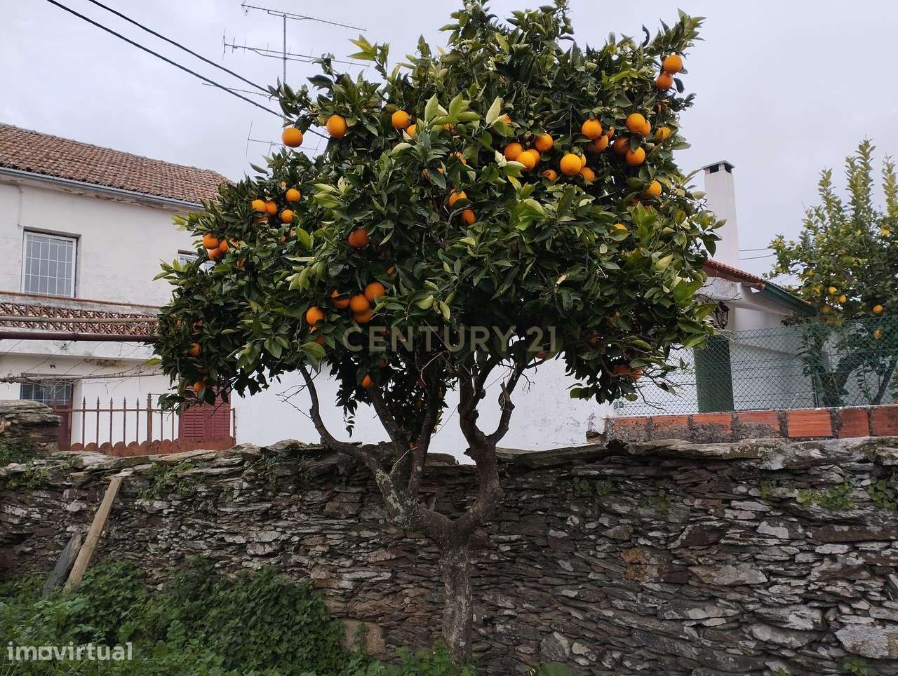 Refúgio nos Amarelos, Sarnadas de Ródão - Grande imagem: 3/16