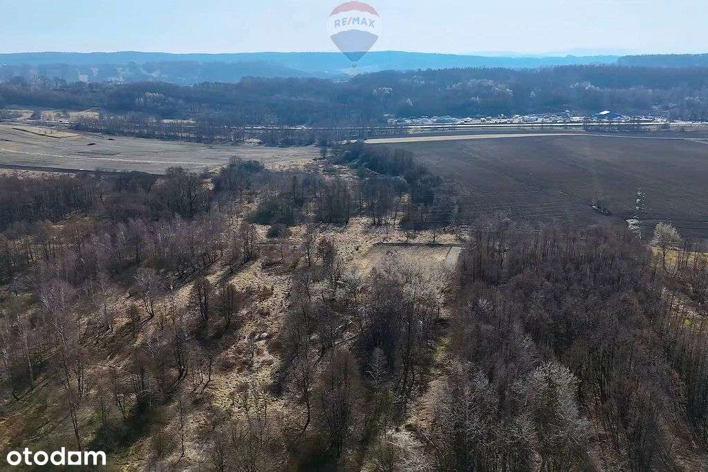 Działka inwestycyjna ponad 2 hektary Krzeczów - Pełny obrazek: 5/5