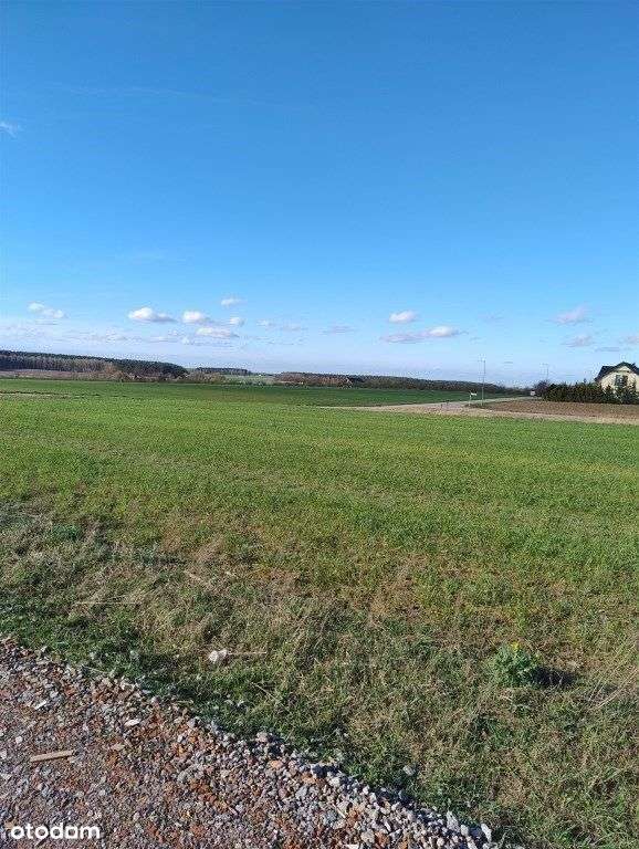 Działka Golęczewo - Pełny obrazek: 5/7