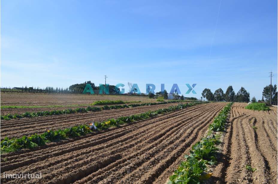 ANG157 - Terreno para Venda em Aveiras de Cima - Grande imagem: 2/13