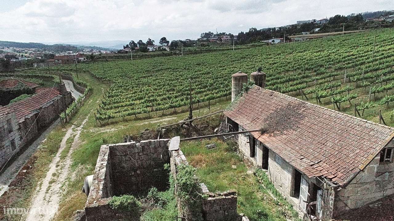 Quinta com Vinha em Valpedre – Penafiel-7