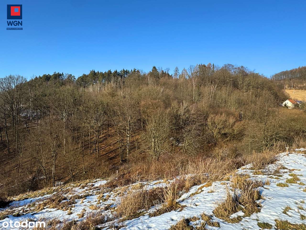 Działka budowlana inwestycyjna.