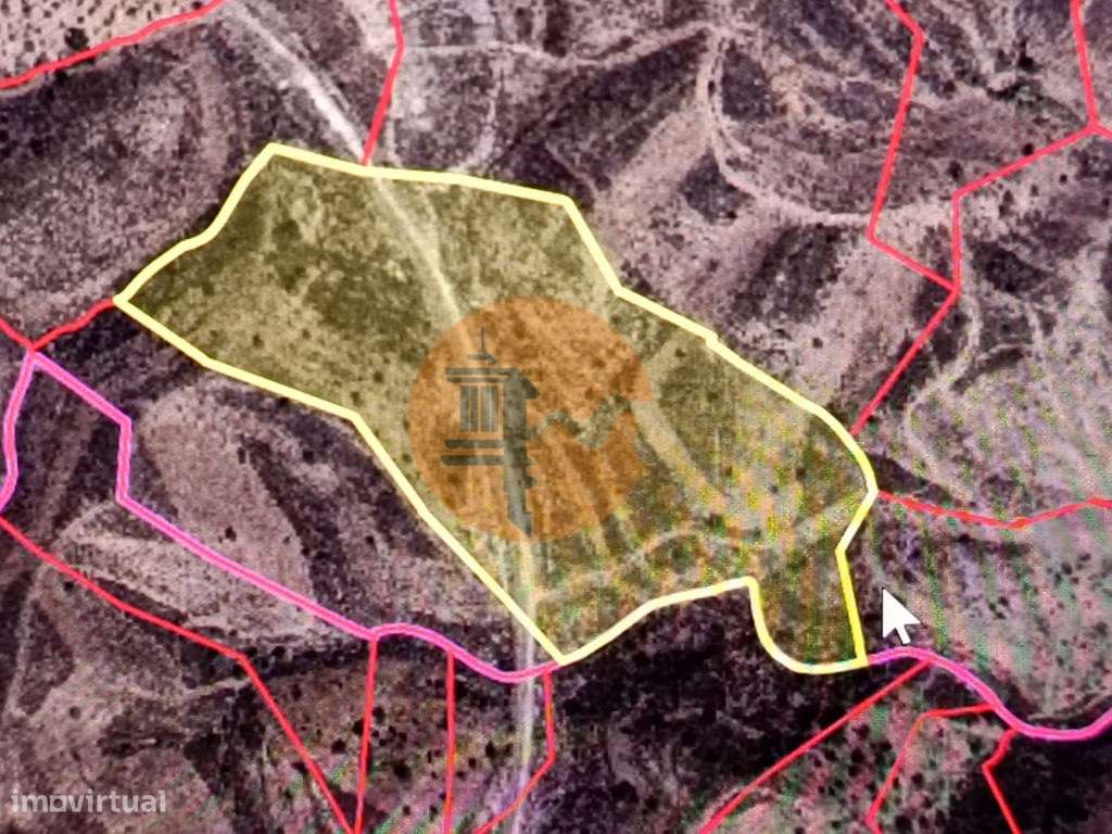TERRENO COM 59.520 M2 - COM POSSIBILIDADE DE CONSTRUIR - MORADIA - ... - Grande imagem: 2/36