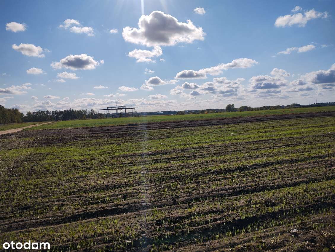 Działka rolna Stare Iganie 5406 m2 - Pełny obrazek: 2/7