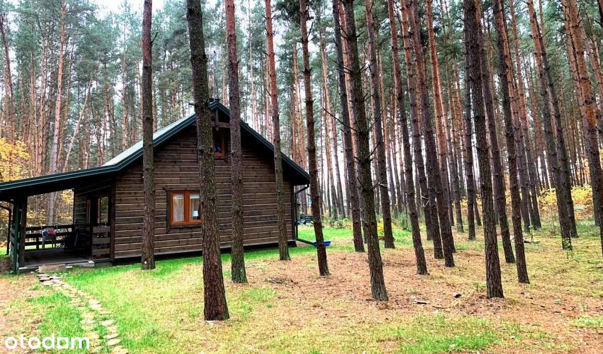 Nowy/Całoroczny domek/Las/Rzeka-11