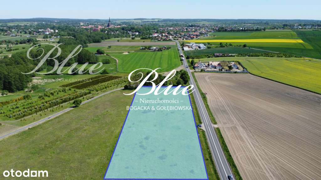 Działka idealna pod inwestycję - 8007m2 - Pełny obrazek: 5/5