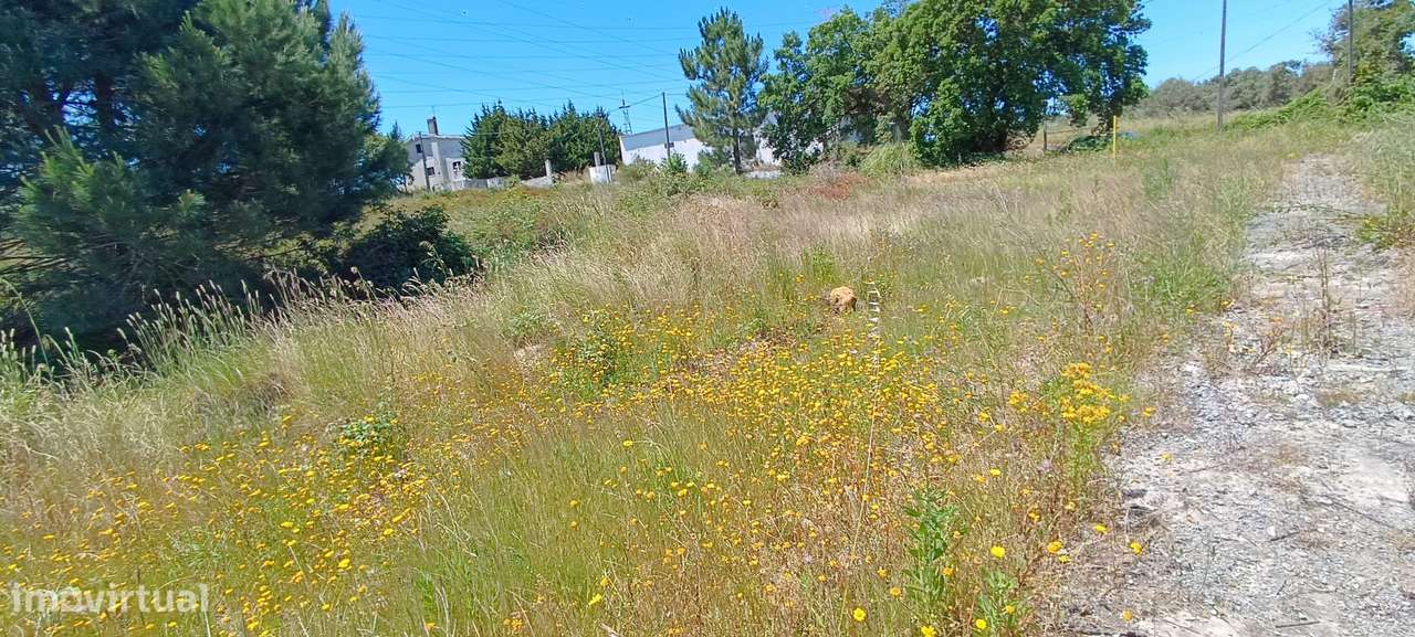 Terreno Rústico – Palmela-11